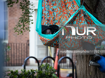 A demonstrator sleeps in a hammock at the Gaza solidarity camp at George Washington University, Washington, DC, April 29, 2024.  GWU student...