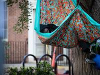 A demonstrator sleeps in a hammock at the Gaza solidarity camp at George Washington University, Washington, DC, April 29, 2024.  GWU student...