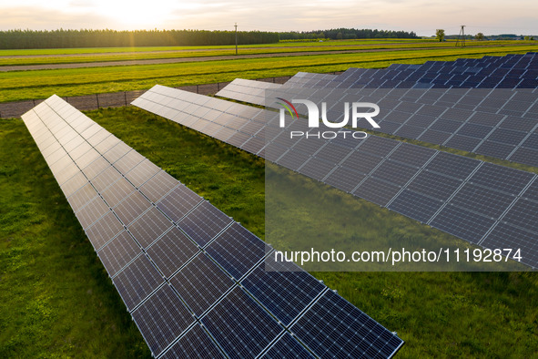 Solar panels on a small solar farm are seen on a field between agricultural produce in a countryside in a village near Sandomierz, Poland on...