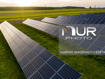 Solar panels on a small solar farm are seen on a field between agricultural produce in a countryside in a village near Sandomierz, Poland on...