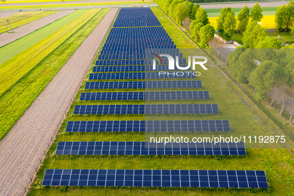 Solar panels on a small solar farm are seen on a field between agricultural produce in a countryside in a village near Sandomierz, Poland on...