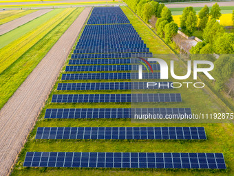 Solar panels on a small solar farm are seen on a field between agricultural produce in a countryside in a village near Sandomierz, Poland on...