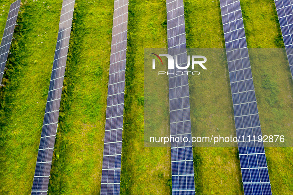 Solar panels on a small solar farm are seen on a field between agricultural produce in a countryside in a village near Sandomierz, Poland on...