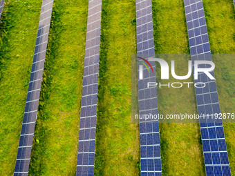 Solar panels on a small solar farm are seen on a field between agricultural produce in a countryside in a village near Sandomierz, Poland on...