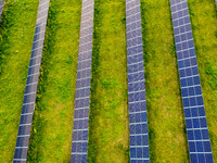 Solar panels on a small solar farm are seen on a field between agricultural produce in a countryside in a village near Sandomierz, Poland on...