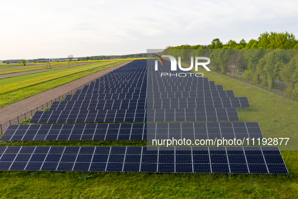 Solar panels on a small solar farm are seen on a field between agricultural produce in a countryside in a village near Sandomierz, Poland on...