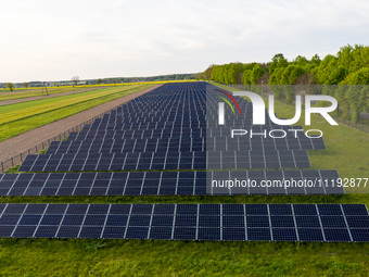 Solar panels on a small solar farm are seen on a field between agricultural produce in a countryside in a village near Sandomierz, Poland on...