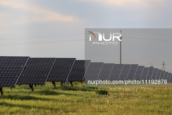 Solar panels on a small solar farm are seen on a field between agricultural produce in a countryside in a village near Sandomierz, Poland on...