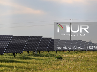 Solar panels on a small solar farm are seen on a field between agricultural produce in a countryside in a village near Sandomierz, Poland on...