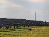 Solar panels on a small solar farm are seen on a field between agricultural produce in a countryside in a village near Sandomierz, Poland on...