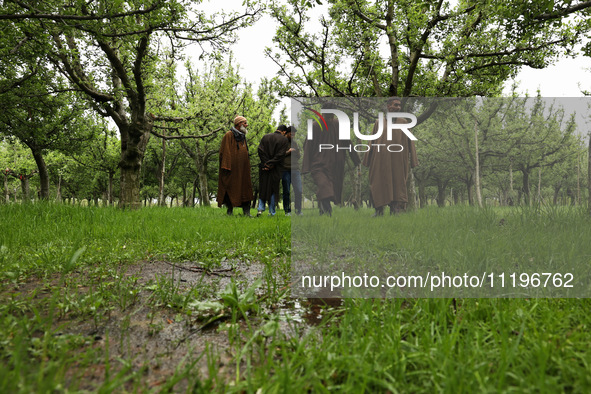 Kashmiri farmers are inspecting their orchards that have been washed away by flash floods in Nathipora Sopore, District Baramulla, Jammu and...