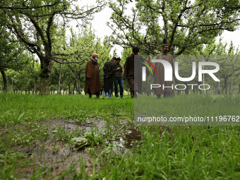 Kashmiri farmers are inspecting their orchards that have been washed away by flash floods in Nathipora Sopore, District Baramulla, Jammu and...