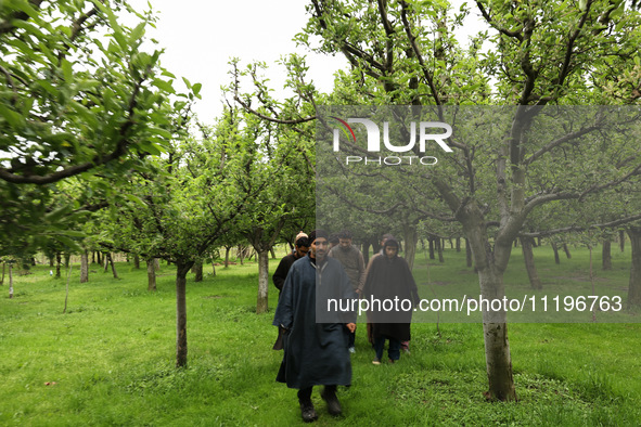 Kashmiri farmers are inspecting their orchards that have been washed away by flash floods in Nathipora Sopore, District Baramulla, Jammu and...