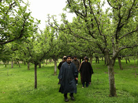 Kashmiri farmers are inspecting their orchards that have been washed away by flash floods in Nathipora Sopore, District Baramulla, Jammu and...