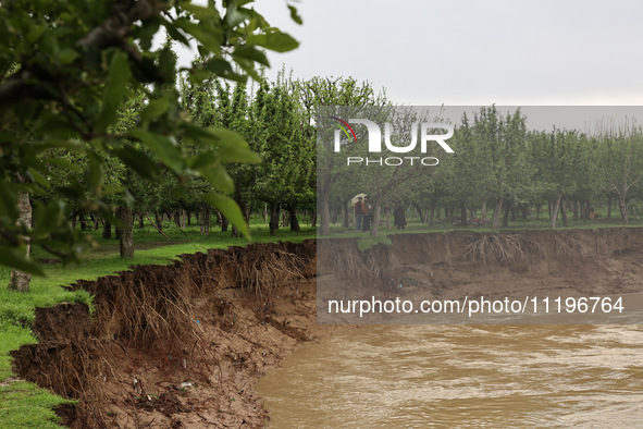 Kashmiri farmers are inspecting their orchards that have been washed away by flash floods in Nathipora Sopore, District Baramulla, Jammu and...