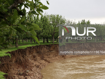 Kashmiri farmers are inspecting their orchards that have been washed away by flash floods in Nathipora Sopore, District Baramulla, Jammu and...