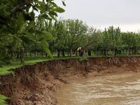 Kashmiri farmers are inspecting their orchards that have been washed away by flash floods in Nathipora Sopore, District Baramulla, Jammu and...