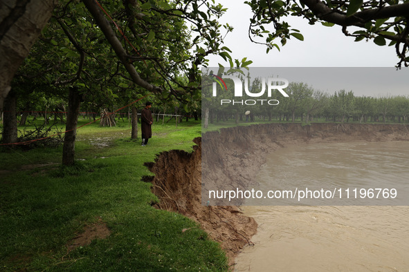 Kashmiri farmers are inspecting their orchards that have been washed away by flash floods in Nathipora Sopore, District Baramulla, Jammu and...