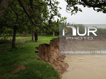 Kashmiri farmers are inspecting their orchards that have been washed away by flash floods in Nathipora Sopore, District Baramulla, Jammu and...