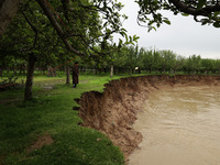 Kashmiri farmers are inspecting their orchards that have been washed away by flash floods in Nathipora Sopore, District Baramulla, Jammu and...