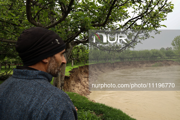 Kashmiri farmers are inspecting their orchards that have been washed away by flash floods in Nathipora Sopore, District Baramulla, Jammu and...