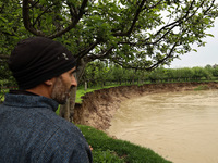 Kashmiri farmers are inspecting their orchards that have been washed away by flash floods in Nathipora Sopore, District Baramulla, Jammu and...