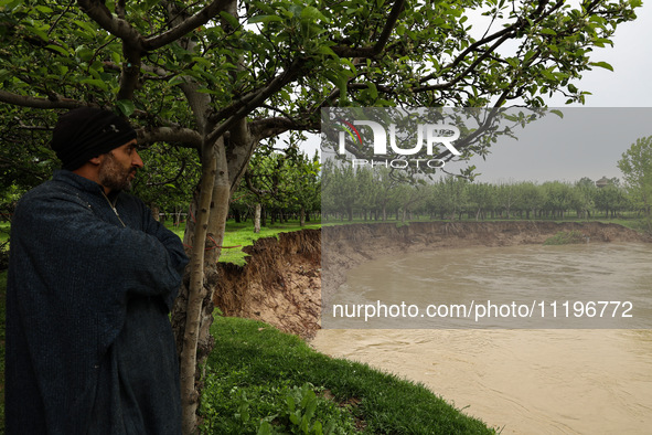 Kashmiri farmers are inspecting their orchards that have been washed away by flash floods in Nathipora Sopore, District Baramulla, Jammu and...