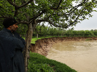 Kashmiri farmers are inspecting their orchards that have been washed away by flash floods in Nathipora Sopore, District Baramulla, Jammu and...