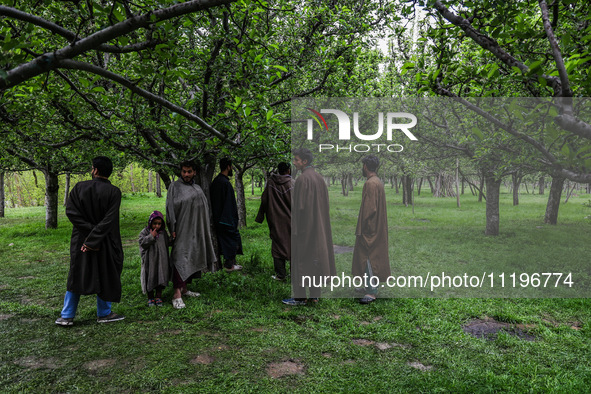 Kashmiri farmers are inspecting their orchards that have been washed away by flash floods in Nathipora Sopore, District Baramulla, Jammu and...