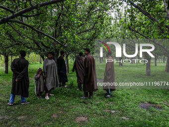 Kashmiri farmers are inspecting their orchards that have been washed away by flash floods in Nathipora Sopore, District Baramulla, Jammu and...