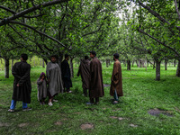 Kashmiri farmers are inspecting their orchards that have been washed away by flash floods in Nathipora Sopore, District Baramulla, Jammu and...