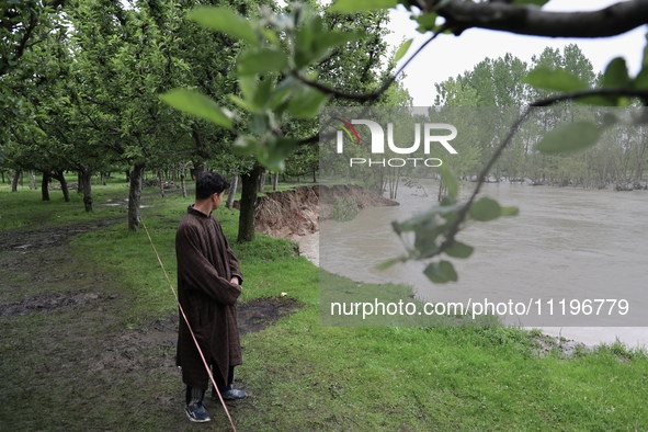 Kashmiri farmers are inspecting their orchards that have been washed away by flash floods in Nathipora Sopore, District Baramulla, Jammu and...