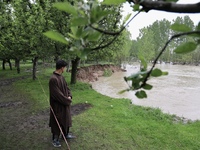 Kashmiri farmers are inspecting their orchards that have been washed away by flash floods in Nathipora Sopore, District Baramulla, Jammu and...