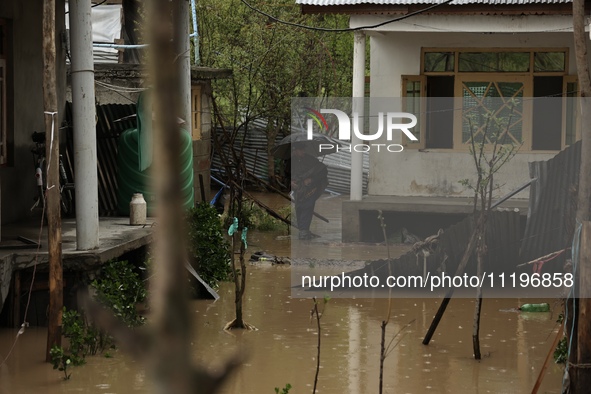 A person is inspecting his house that has been submerged due to flash floods on the outskirts of Sopore, District Baramulla, Jammu and Kashm...