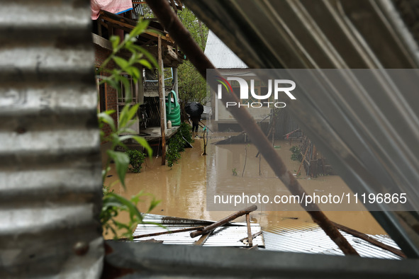 A man is inspecting his house, which is submerged due to flash floods on the outskirts of Sopore, District Baramulla, Jammu and Kashmir, Ind...