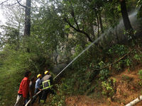 Nepali firefighters are using water cannons to control a blaze that started in a local forest in the Lalitpur District of Central Nepal, on...