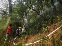 Nepali firefighters are using water cannons to control a blaze that started in a local forest in the Lalitpur District of Central Nepal, on...