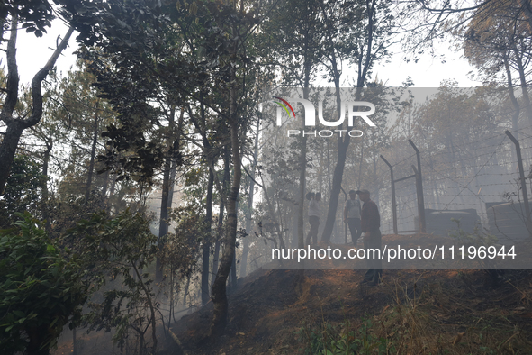 Smoke is shrouding a forest in Lalitpur, Central Nepal, after a reported forest fire incident on April 30, 2024. The hills surrounding the K...