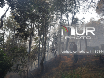 Smoke is shrouding a forest in Lalitpur, Central Nepal, after a reported forest fire incident on April 30, 2024. The hills surrounding the K...