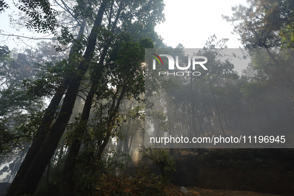 Smoke is shrouding a forest in Lalitpur, Central Nepal, after a reported forest fire incident on April 30, 2024. The hills surrounding the K...