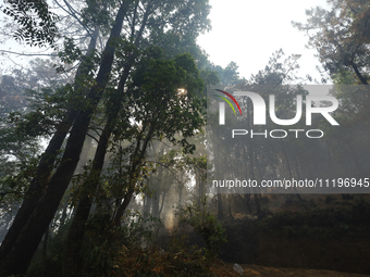 Smoke is shrouding a forest in Lalitpur, Central Nepal, after a reported forest fire incident on April 30, 2024. The hills surrounding the K...