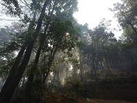 Smoke is shrouding a forest in Lalitpur, Central Nepal, after a reported forest fire incident on April 30, 2024. The hills surrounding the K...