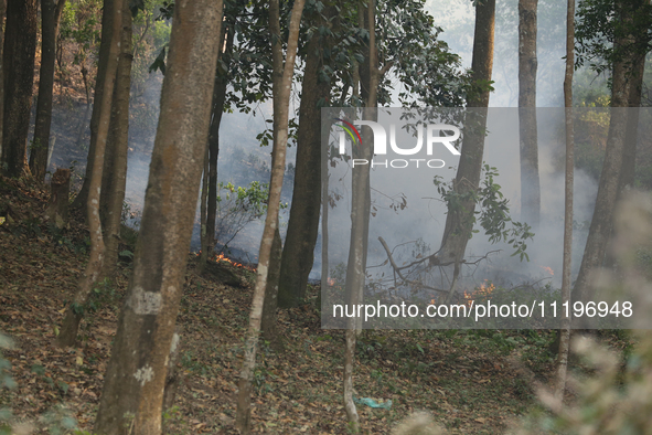 A forest fire is billowing smoke in a local community forest in Lalitpur, Central Nepal, on April 30, 2024. The hills surrounding the Kathma...