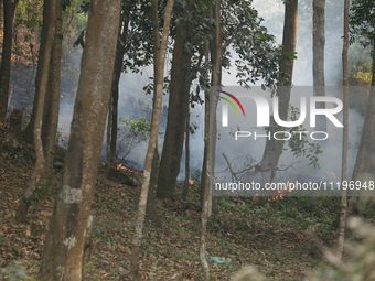 A forest fire is billowing smoke in a local community forest in Lalitpur, Central Nepal, on April 30, 2024. The hills surrounding the Kathma...