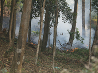 A forest fire is billowing smoke in a local community forest in Lalitpur, Central Nepal, on April 30, 2024. The hills surrounding the Kathma...