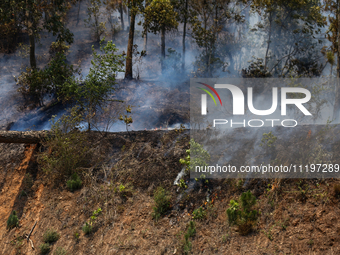 A forest fire is billowing smoke in a local community forest in Lalitpur, Central Nepal, on April 30, 2024. (