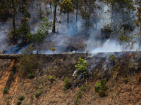 A forest fire is billowing smoke in a local community forest in Lalitpur, Central Nepal, on April 30, 2024. (