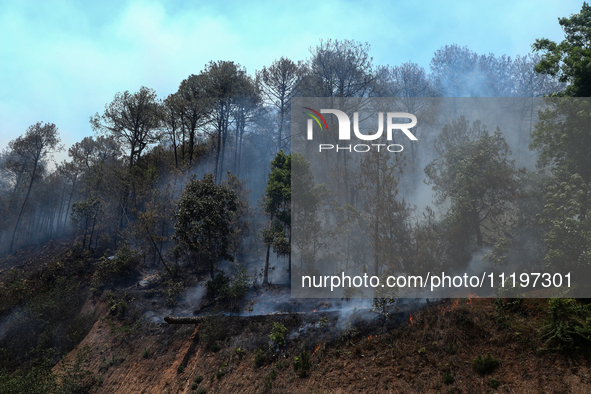 A forest fire is billowing smoke in a local community forest in Lalitpur, Central Nepal, on April 30, 2024. 