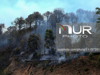 A forest fire is billowing smoke in a local community forest in Lalitpur, Central Nepal, on April 30, 2024. (