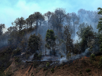 A forest fire is billowing smoke in a local community forest in Lalitpur, Central Nepal, on April 30, 2024. (